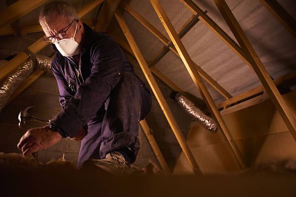 Best Cellulose Insulation in Beech Mountain Lakes, PA